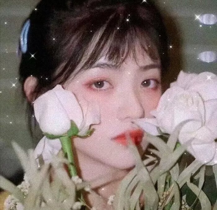 节食与长寿